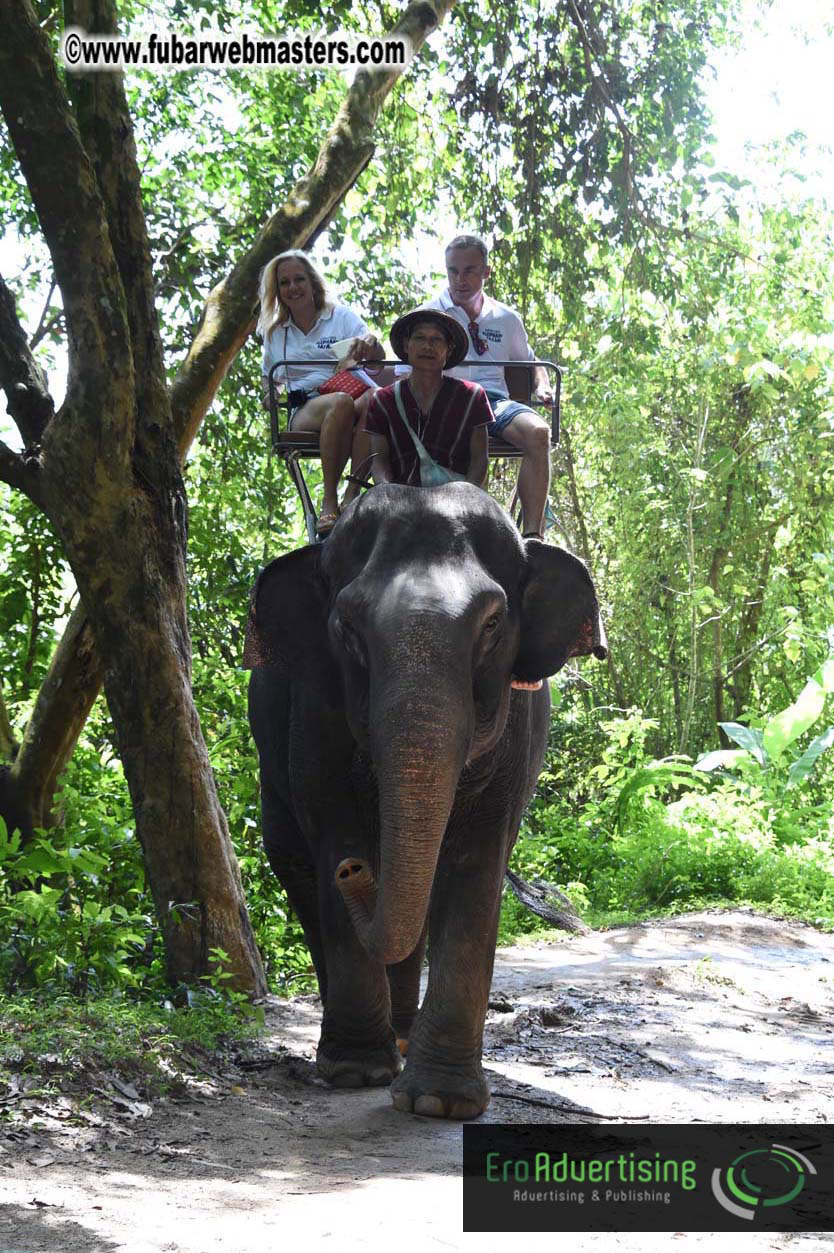 Elephant Safari 