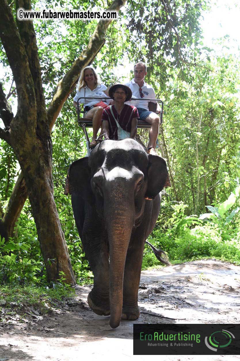 Elephant Safari 