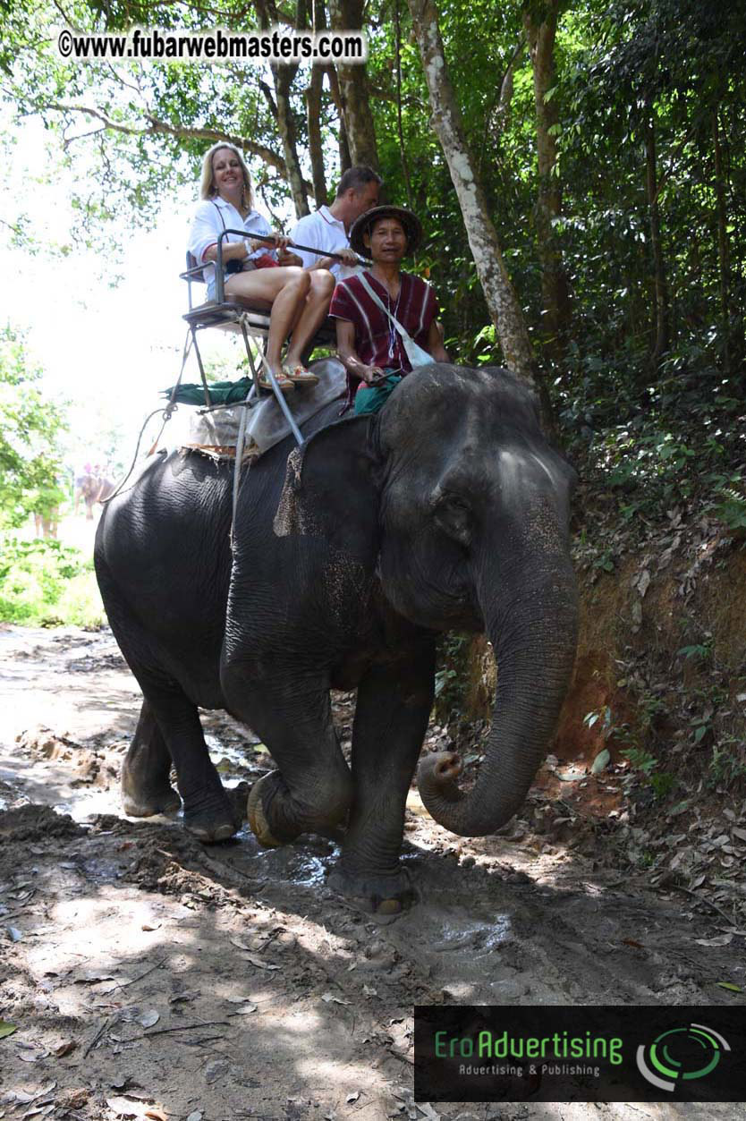 Elephant Safari 