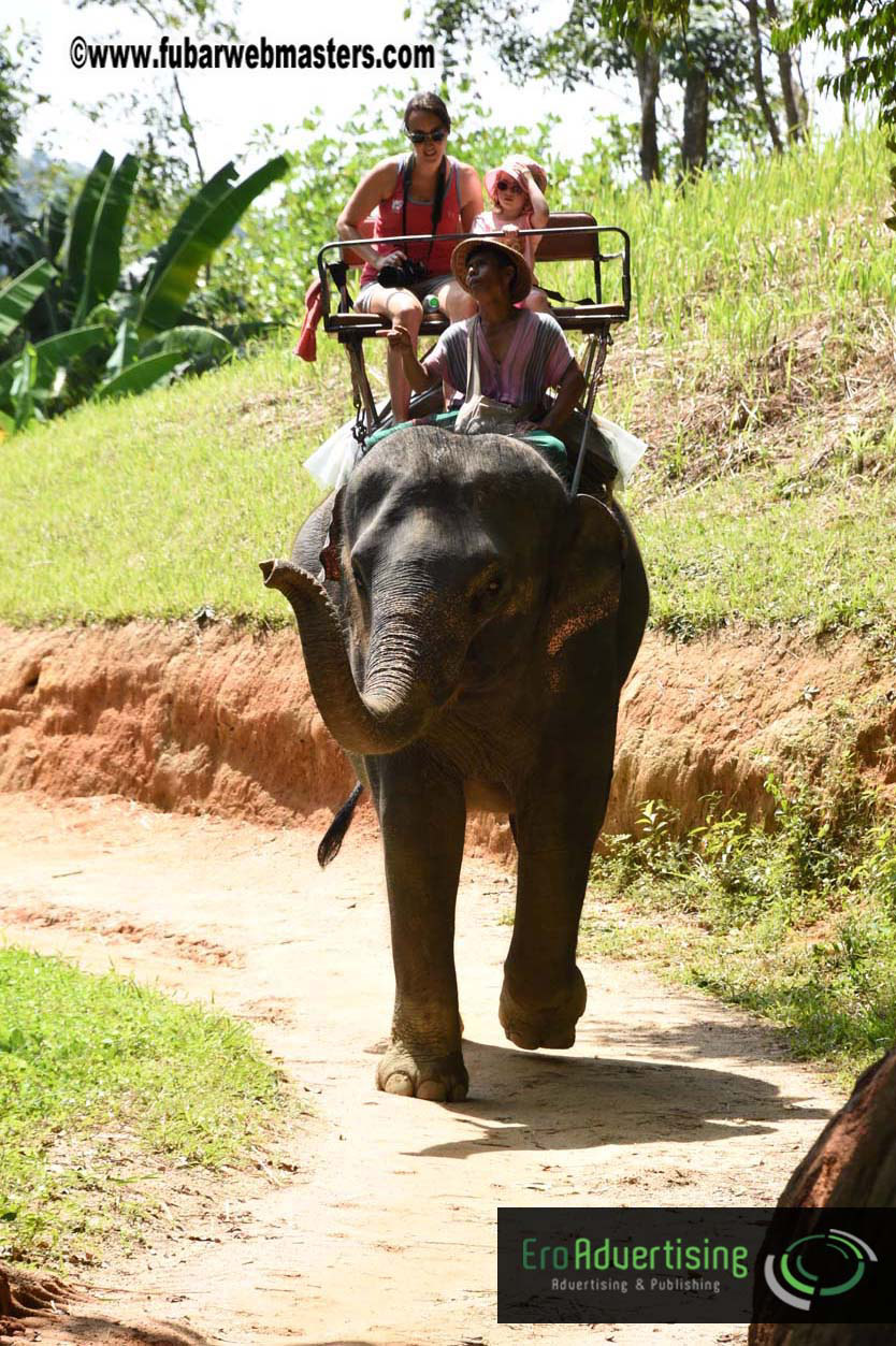 Elephant Safari 