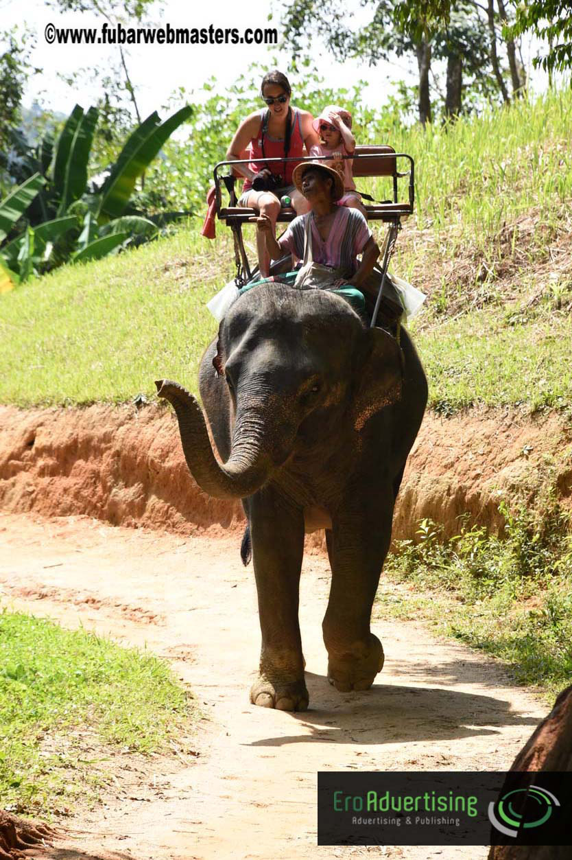 Elephant Safari 