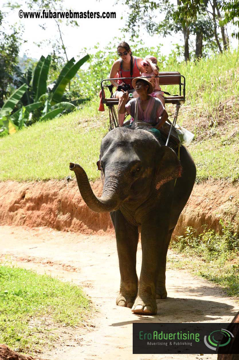 Elephant Safari 