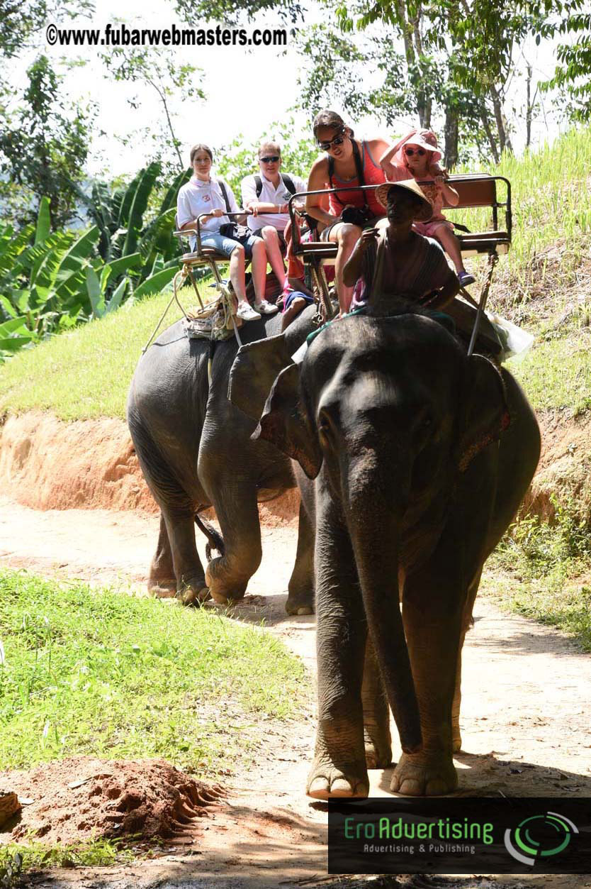 Elephant Safari 