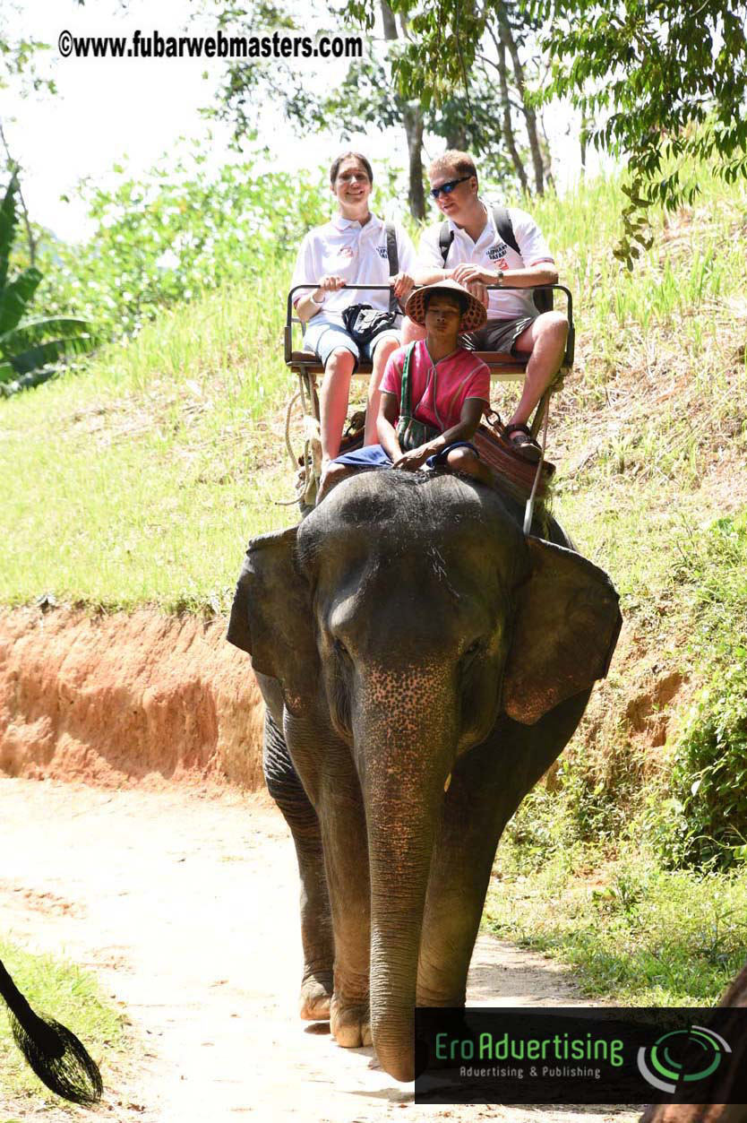 Elephant Safari 