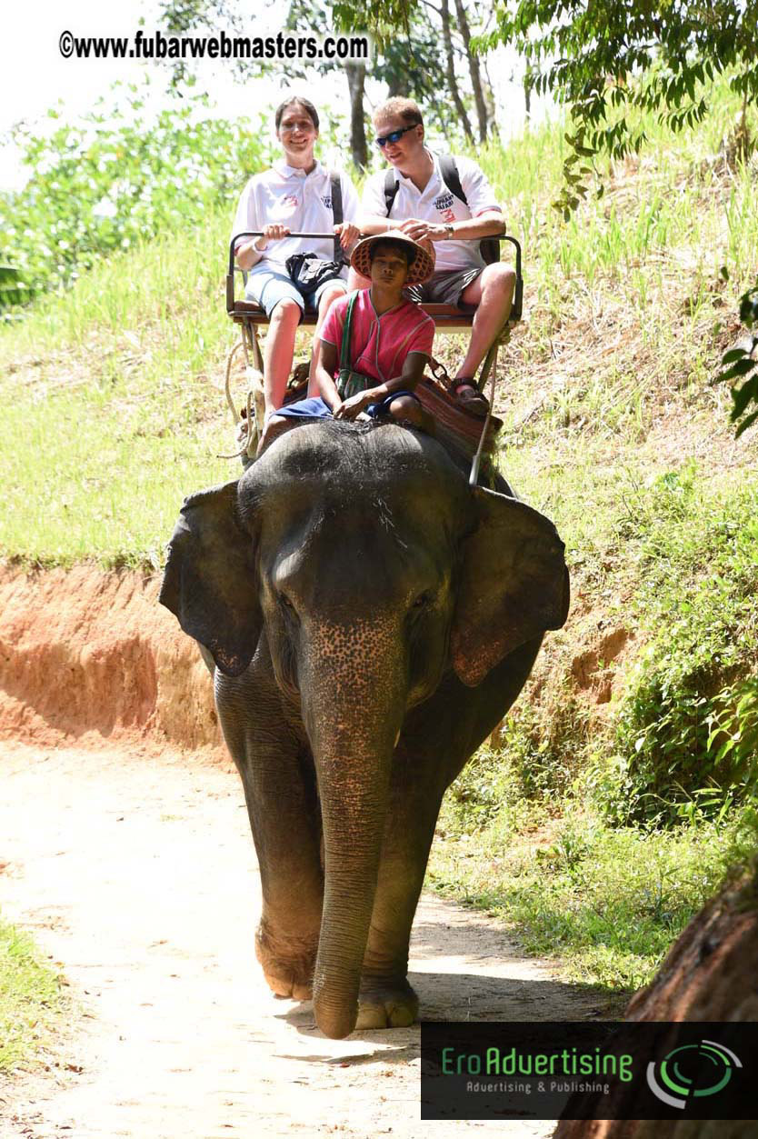 Elephant Safari 