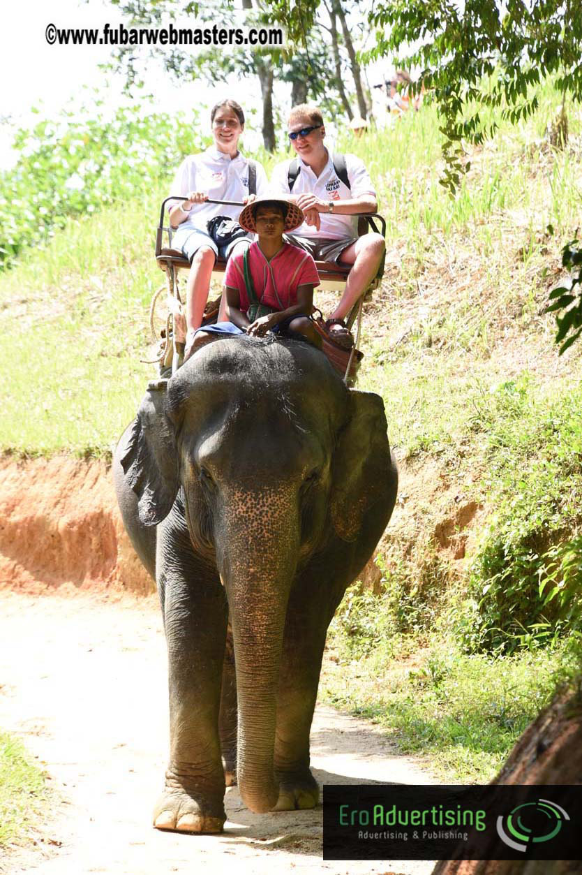 Elephant Safari 