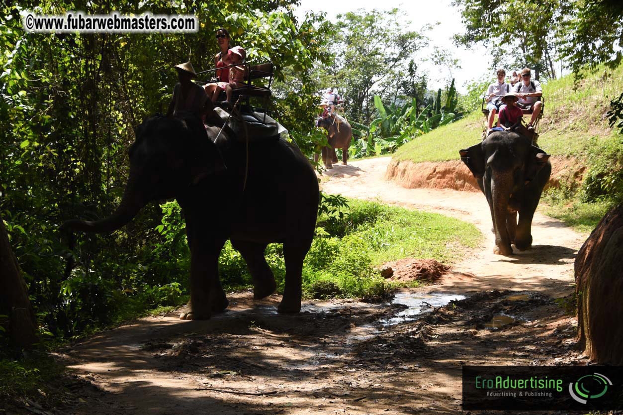 Elephant Safari 