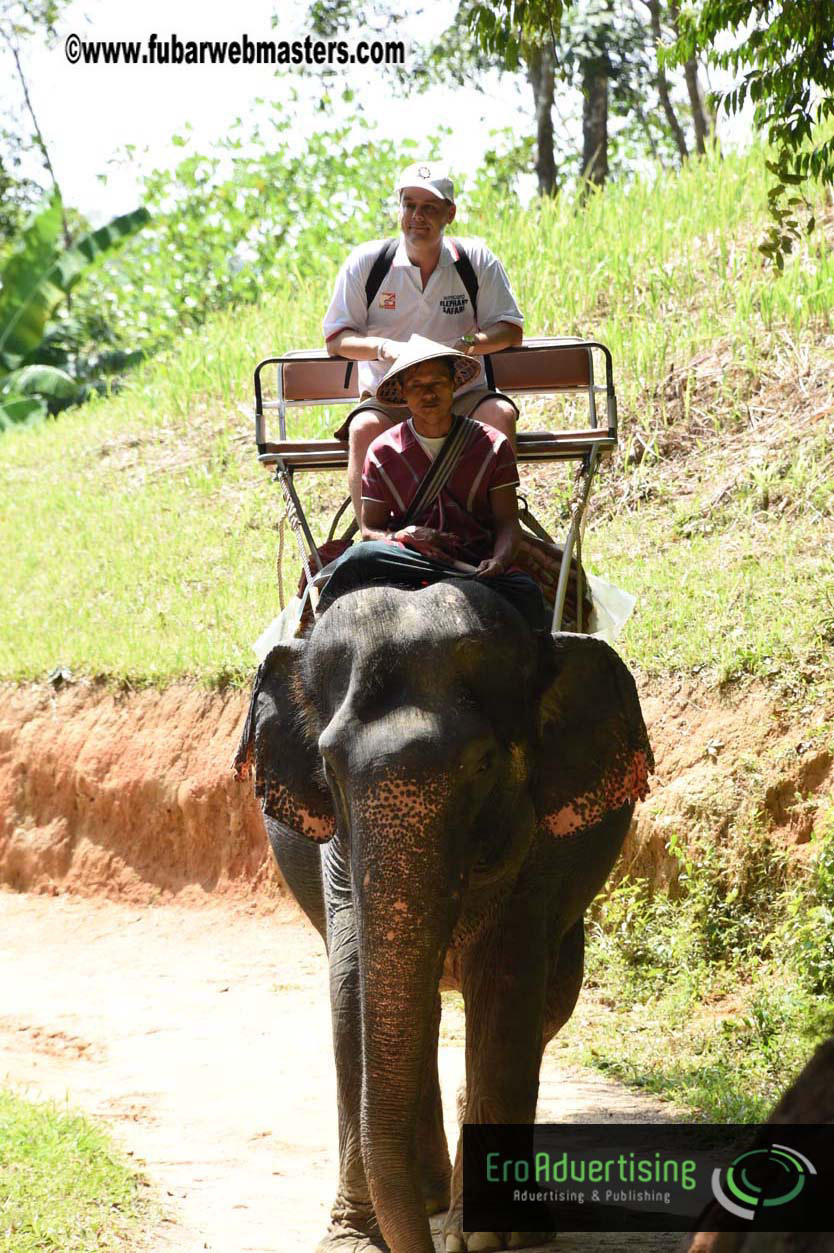 Elephant Safari 