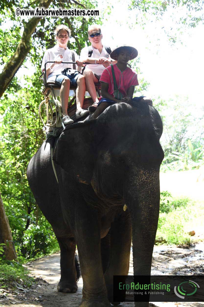 Elephant Safari 