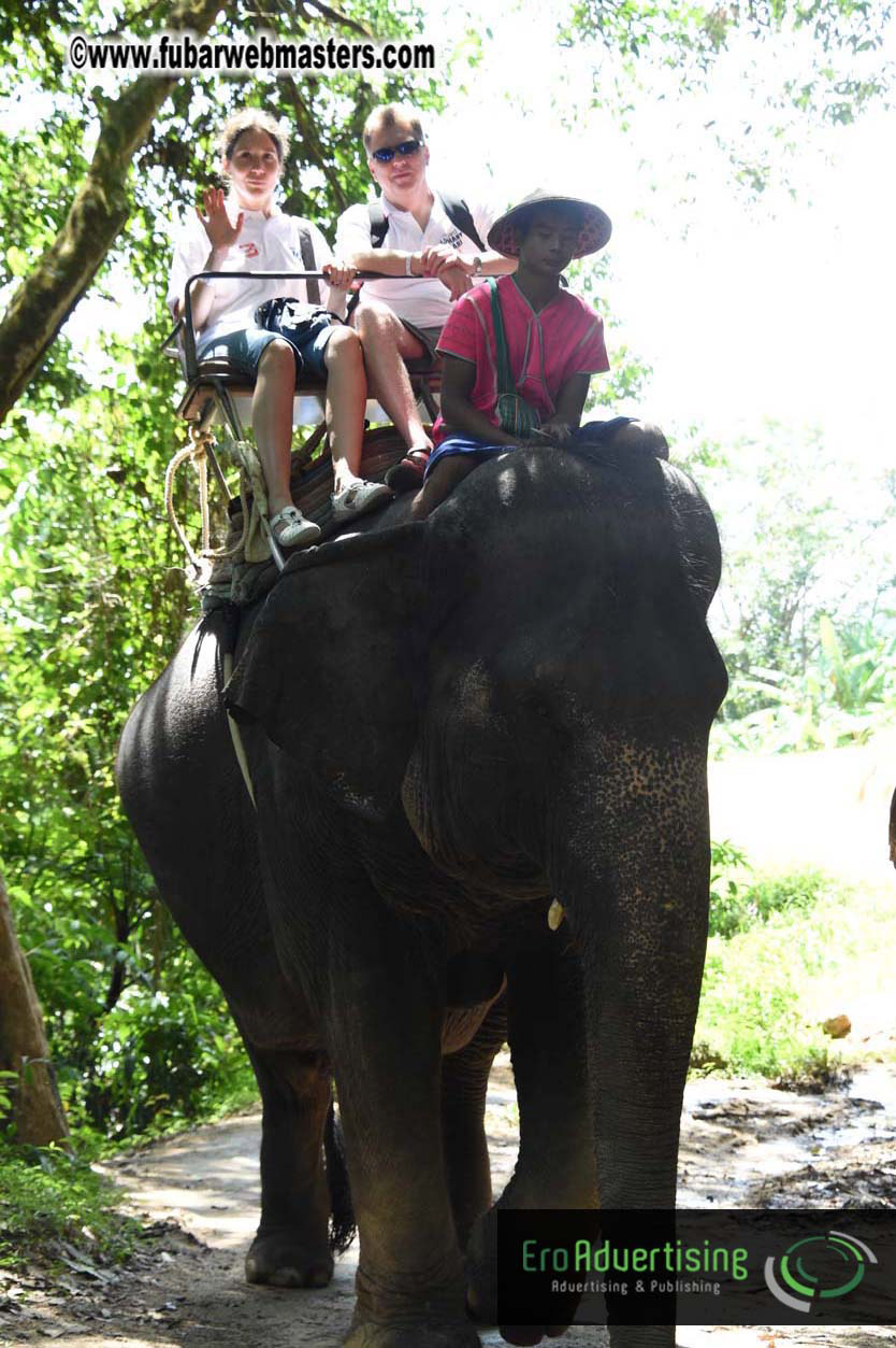 Elephant Safari 