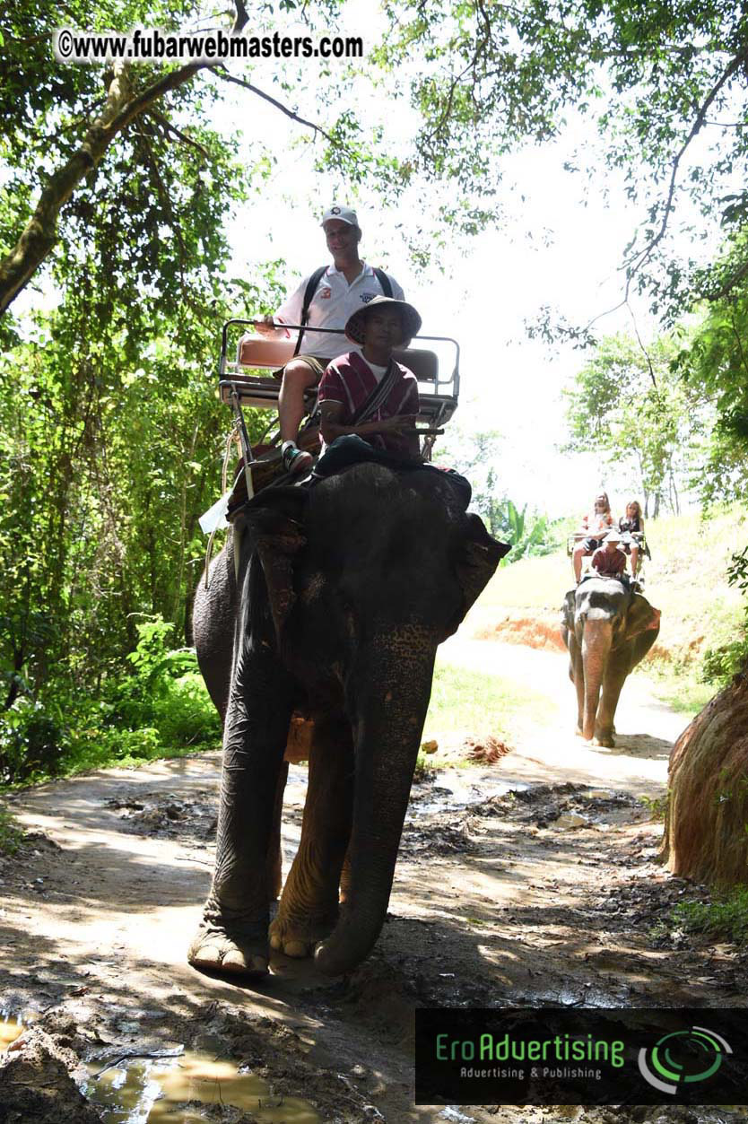 Elephant Safari 