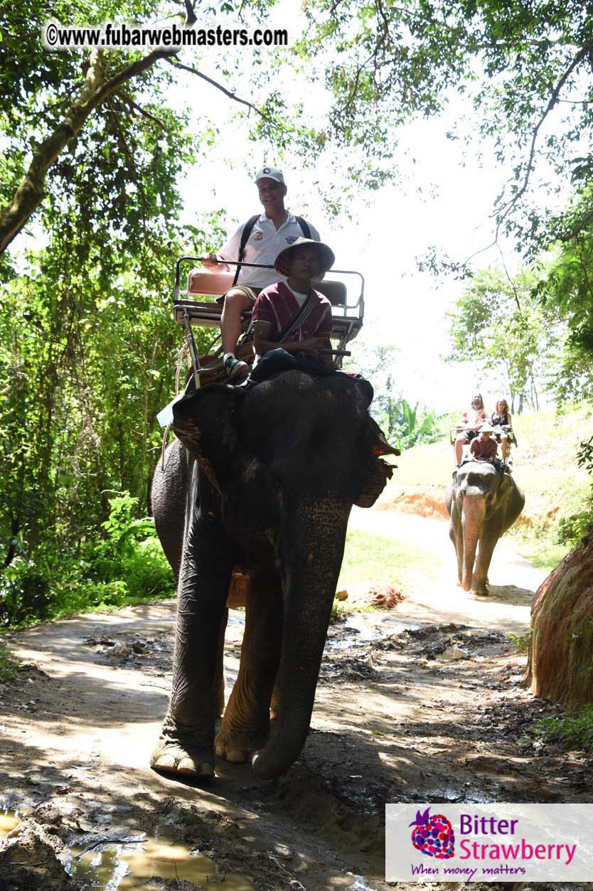 Elephant Safari 