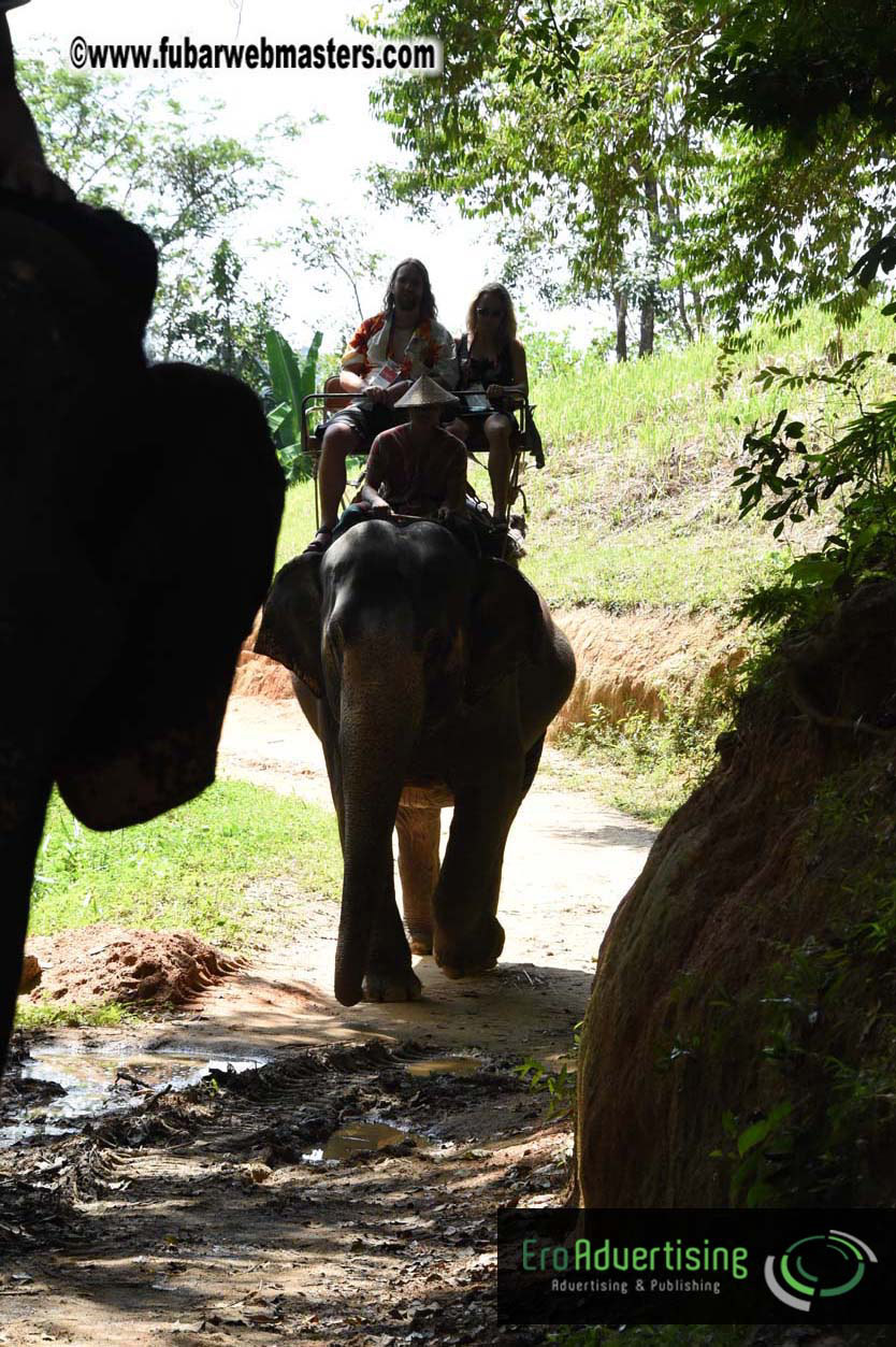 Elephant Safari 