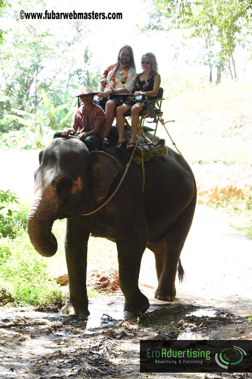 Elephant Safari 