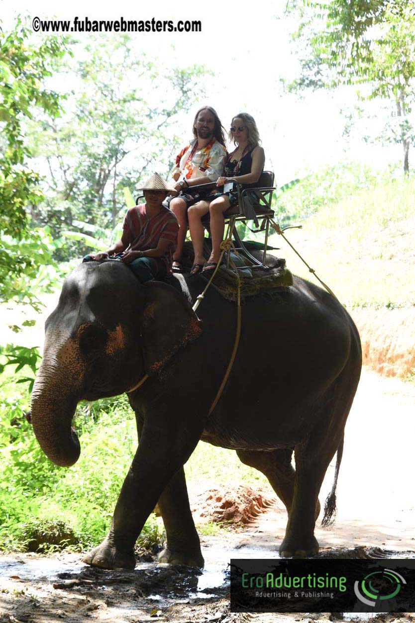 Elephant Safari 