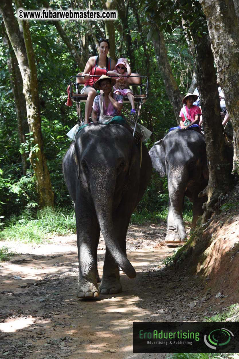 Elephant Safari 