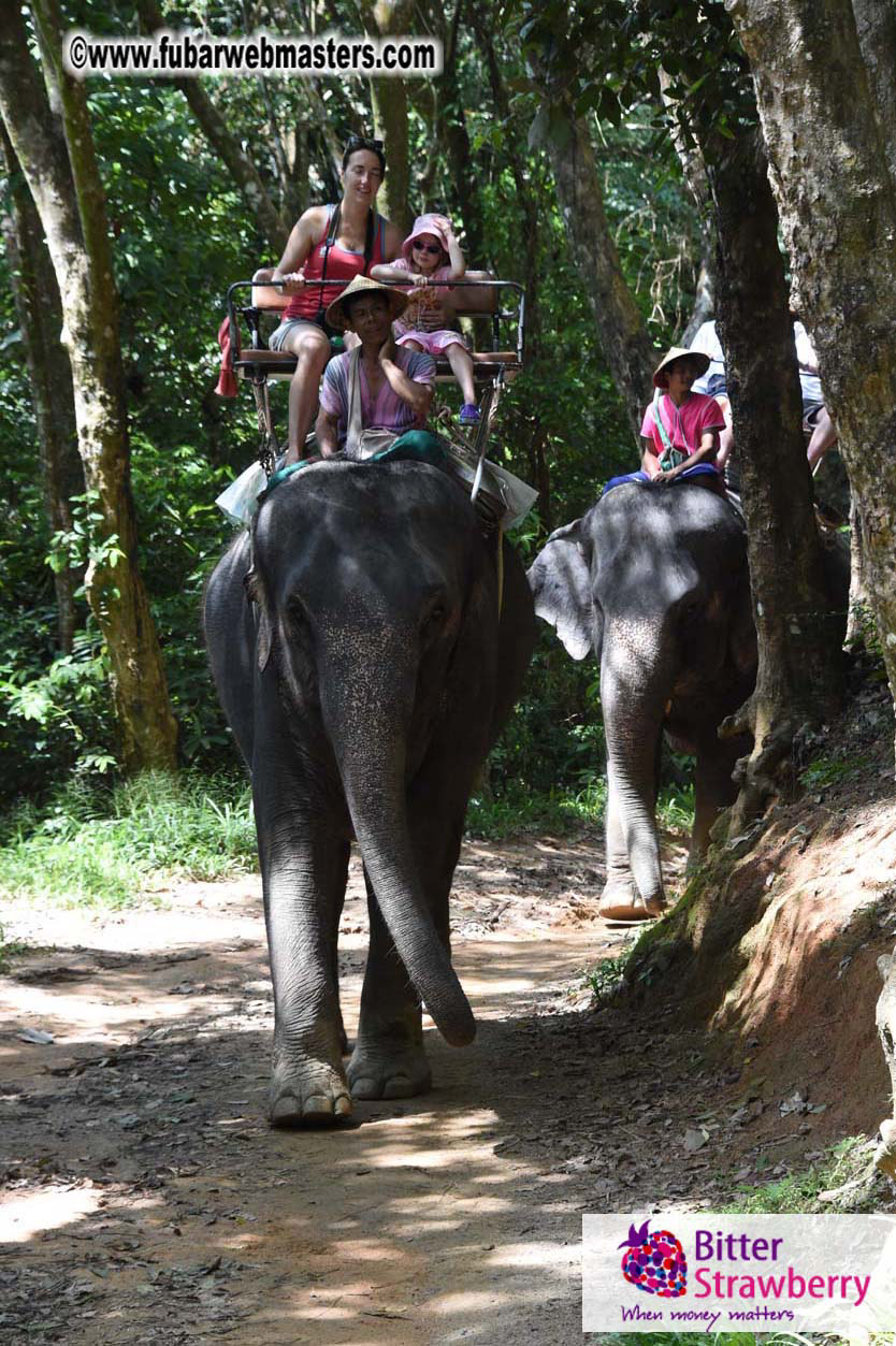 Elephant Safari 