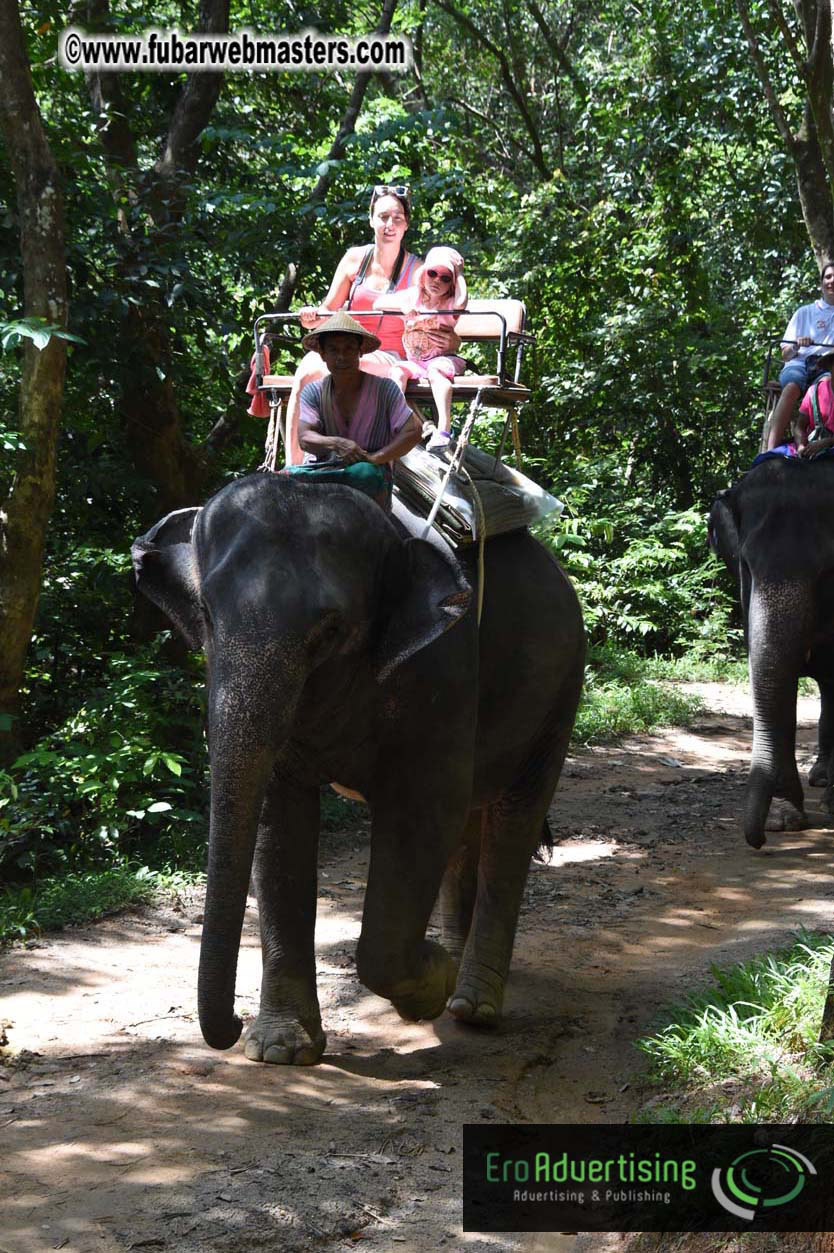 Elephant Safari 