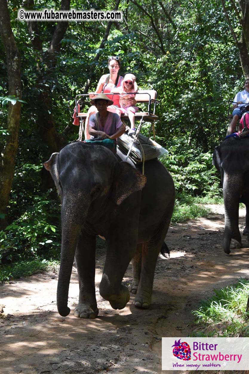 Elephant Safari 