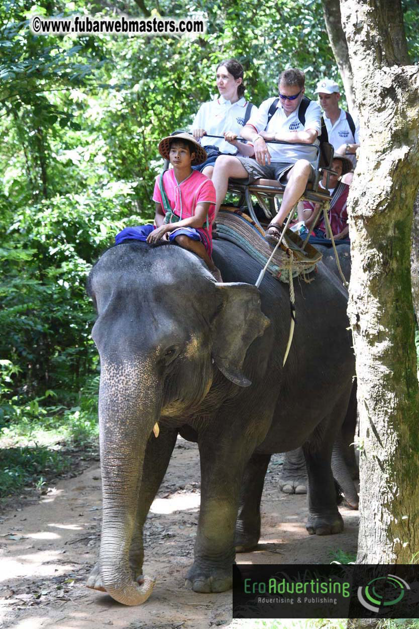 Elephant Safari 