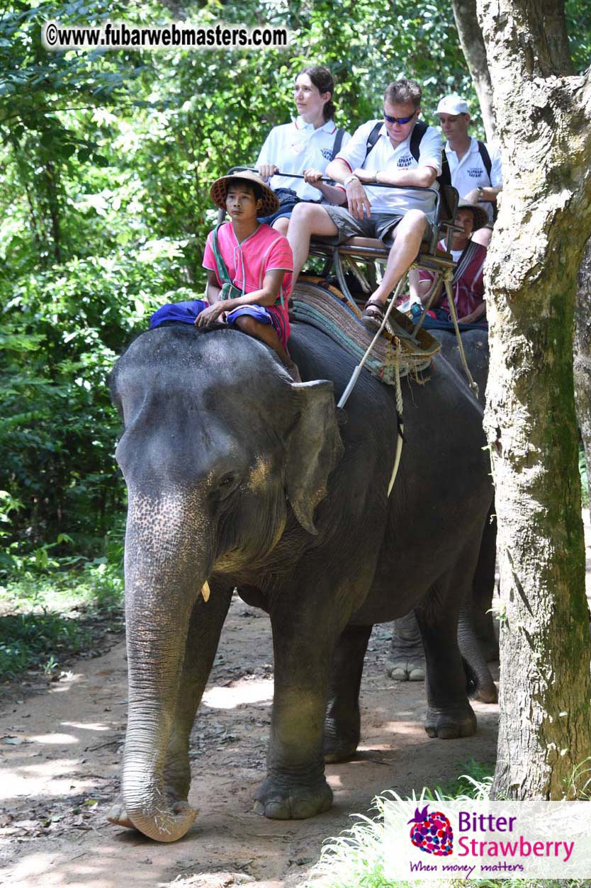 Elephant Safari 