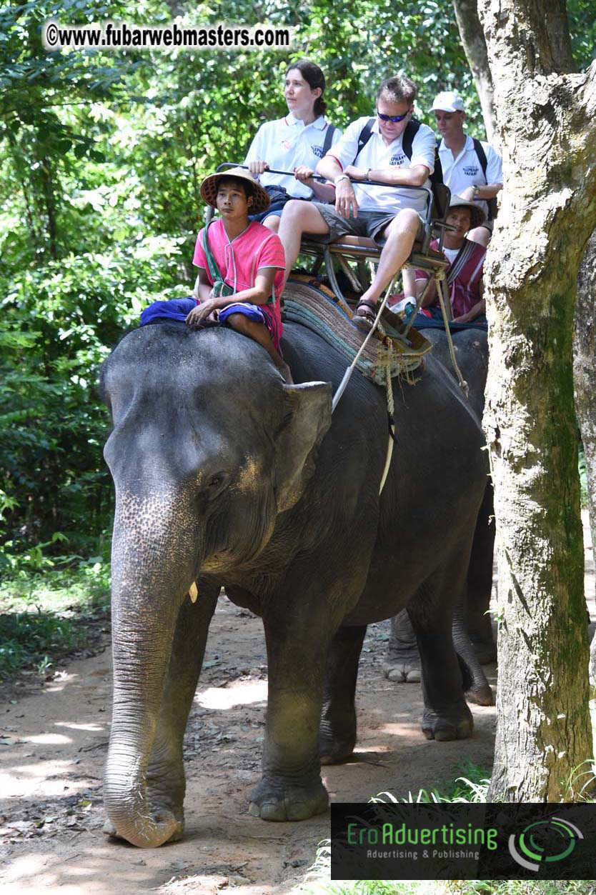 Elephant Safari 