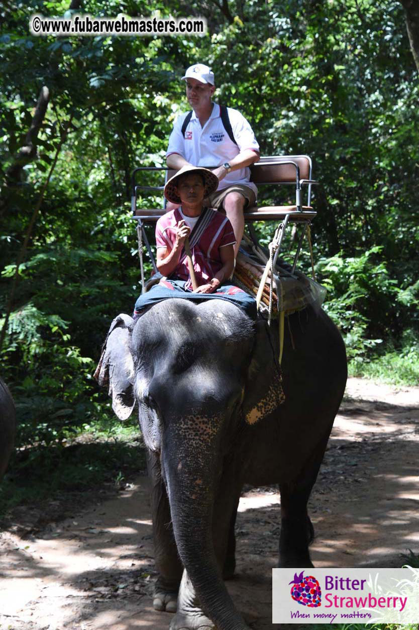 Elephant Safari 