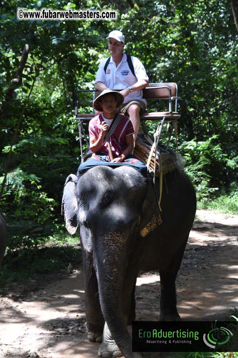 Elephant Safari 