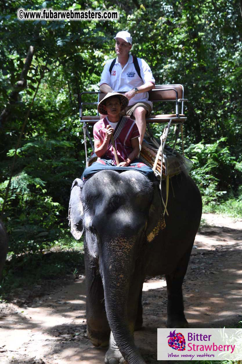 Elephant Safari 