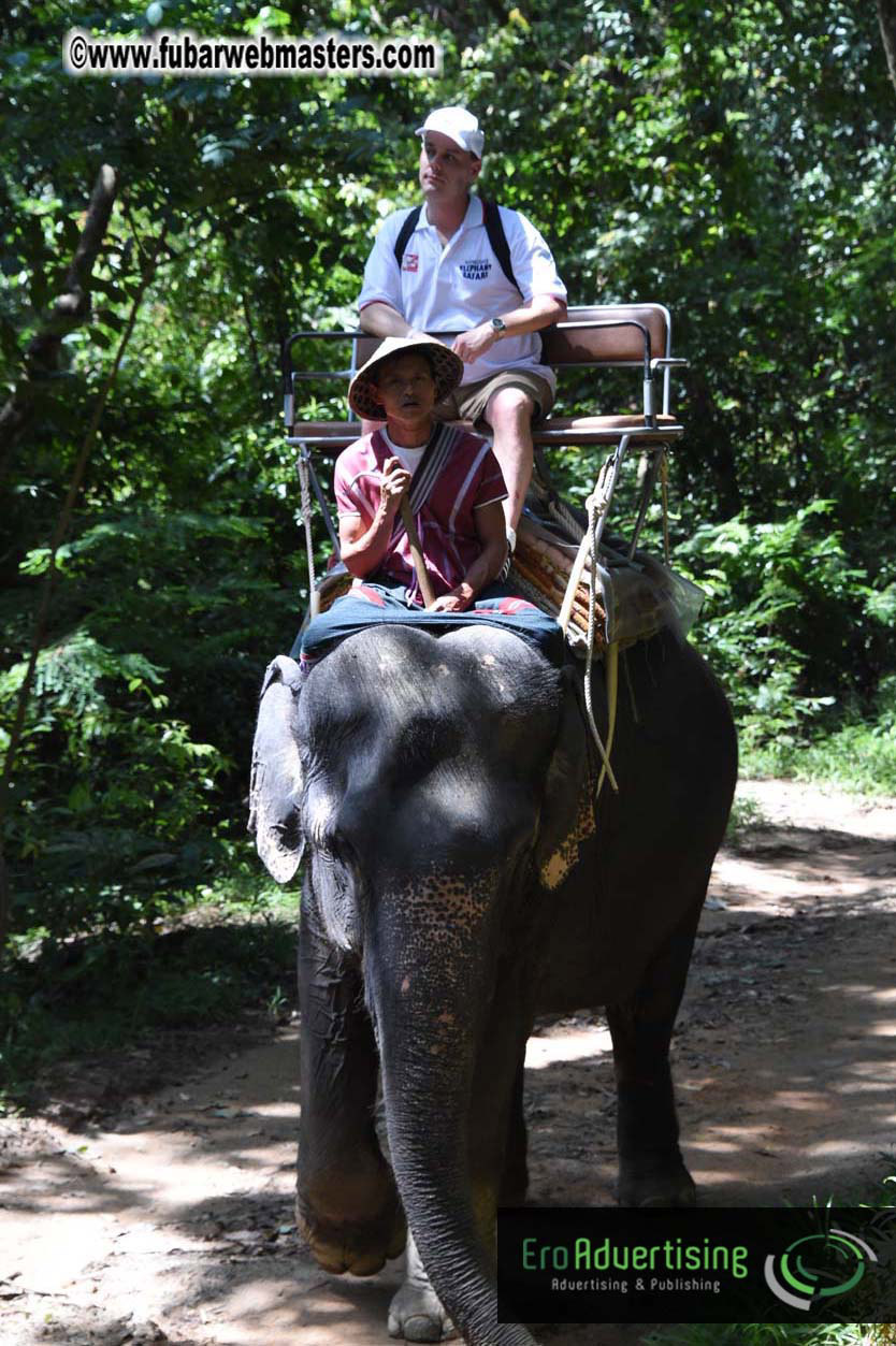 Elephant Safari 