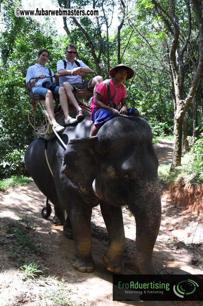 Elephant Safari 