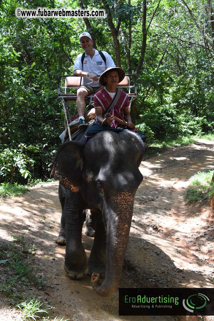 Elephant Safari 