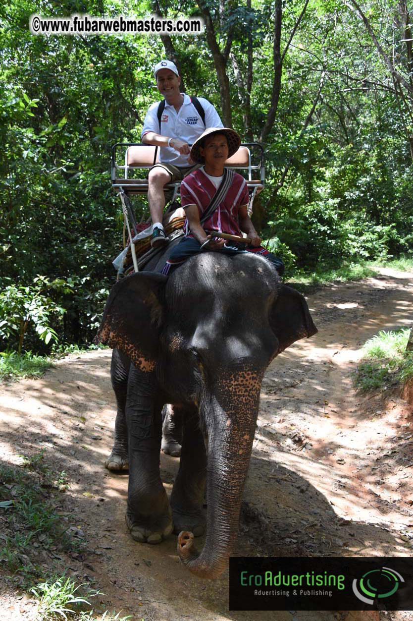 Elephant Safari 