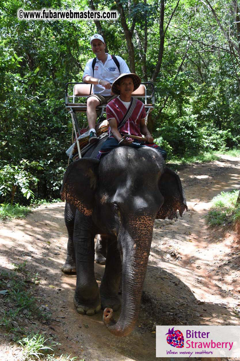 Elephant Safari 