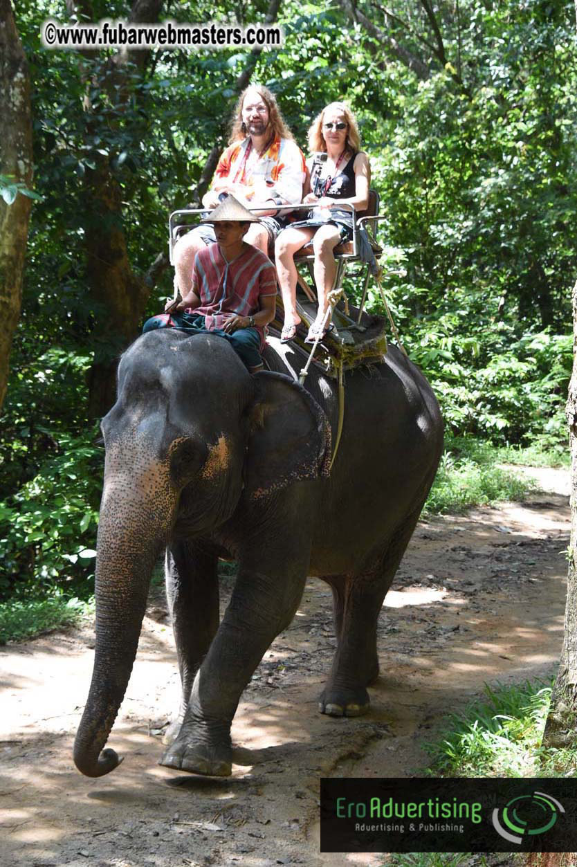 Elephant Safari 