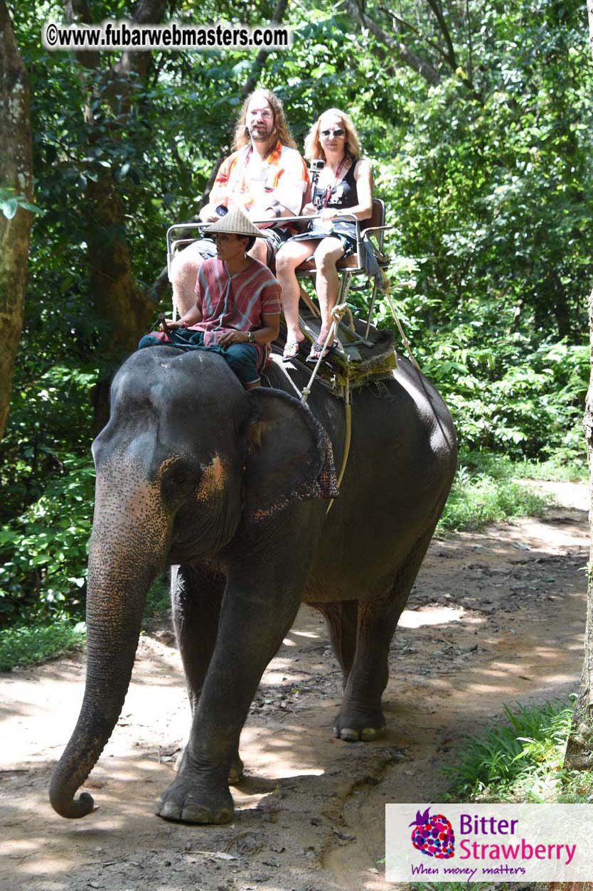 Elephant Safari 