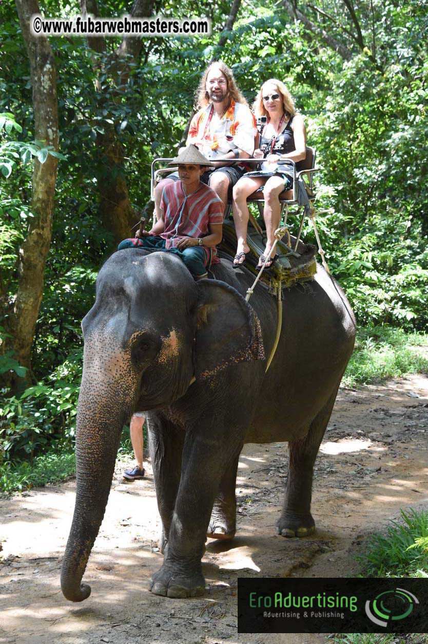 Elephant Safari 