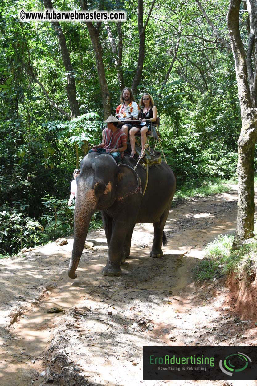 Elephant Safari 