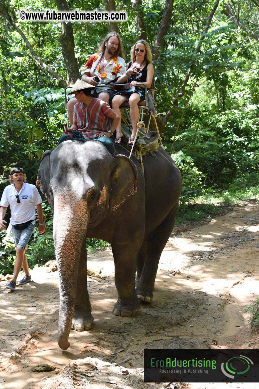 Elephant Safari 