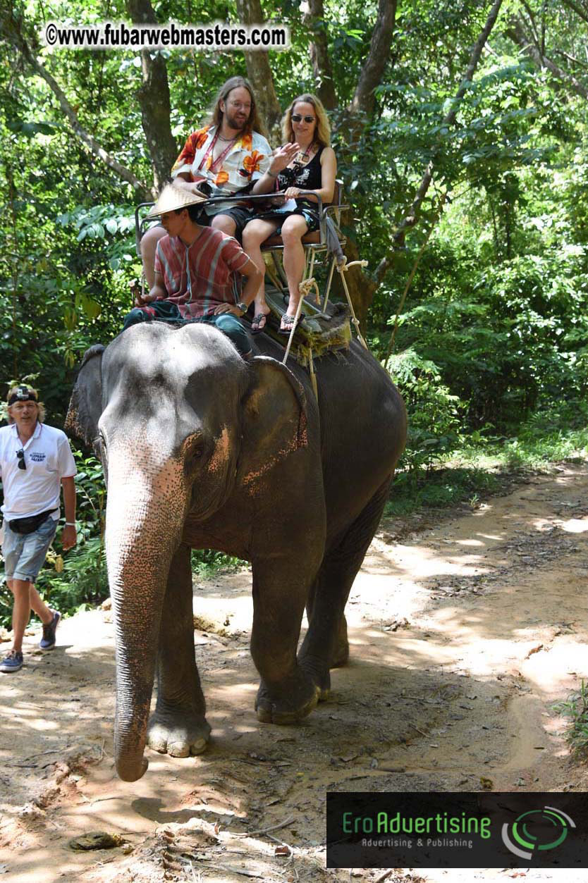 Elephant Safari 