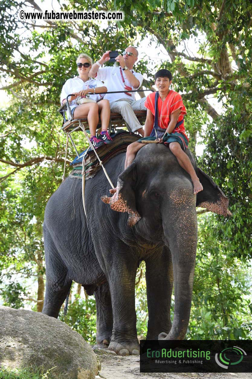 Elephant Safari 