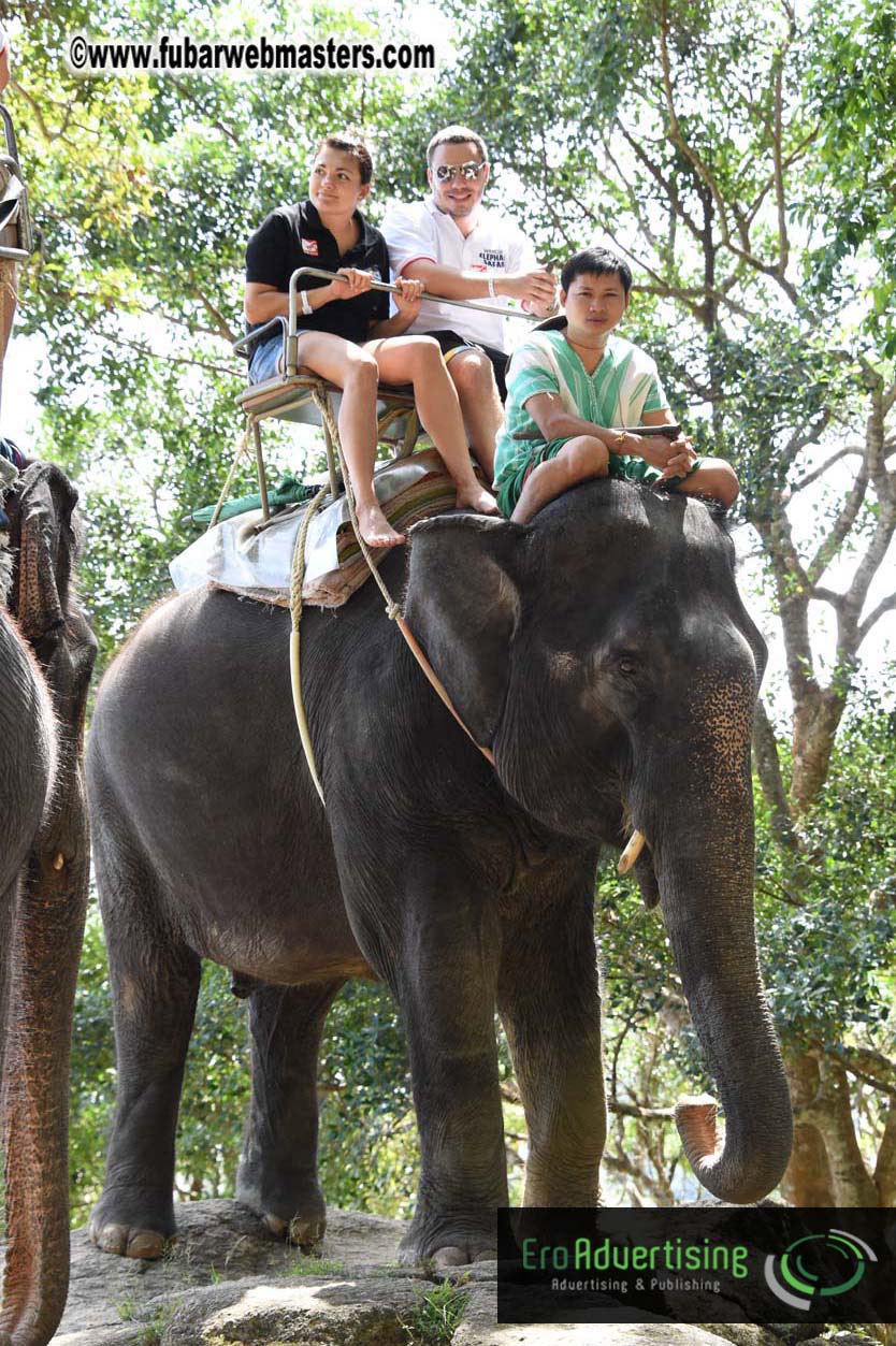 Elephant Safari 