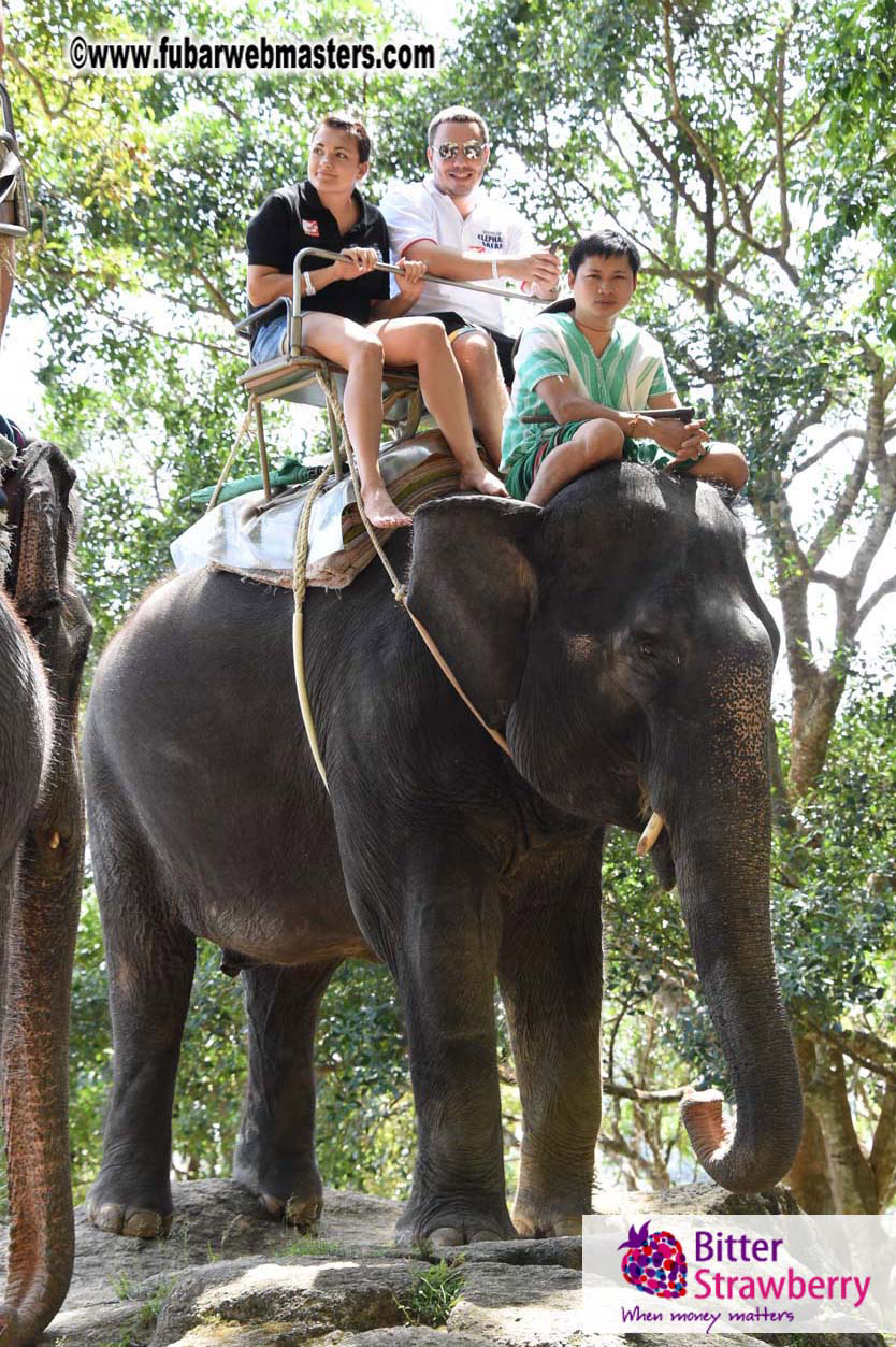 Elephant Safari 