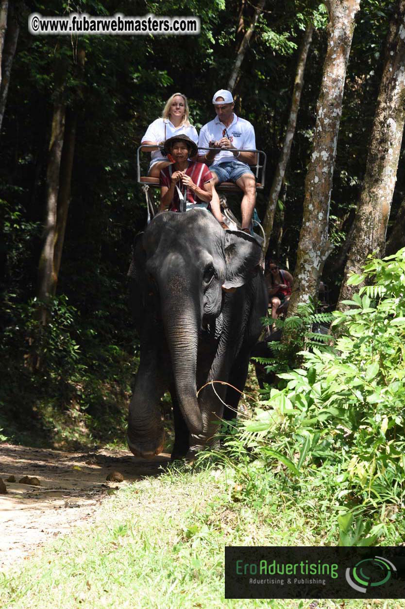 Elephant Safari 