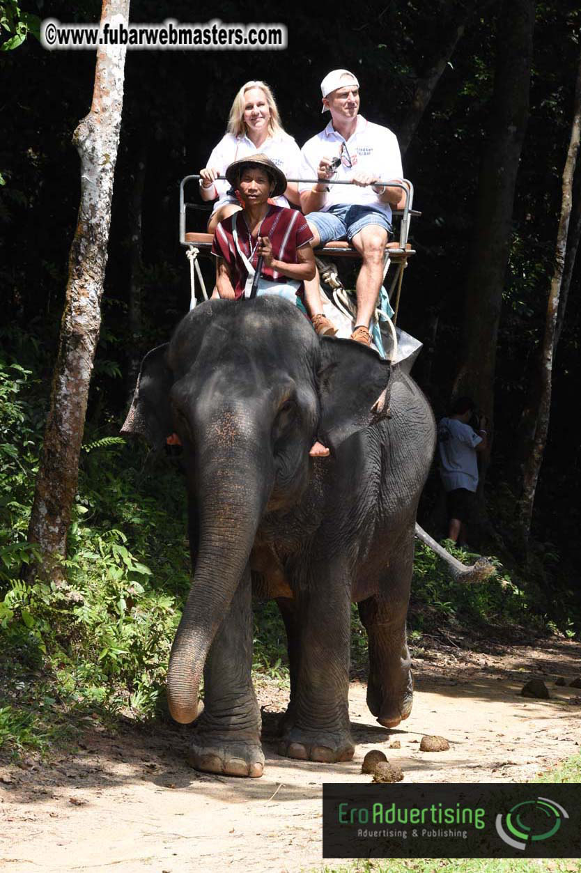 Elephant Safari 