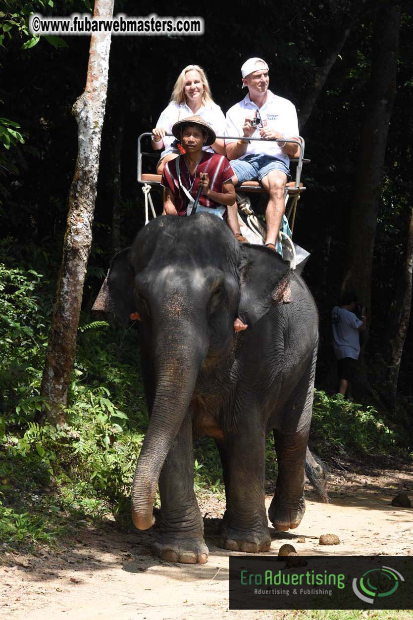 Elephant Safari 