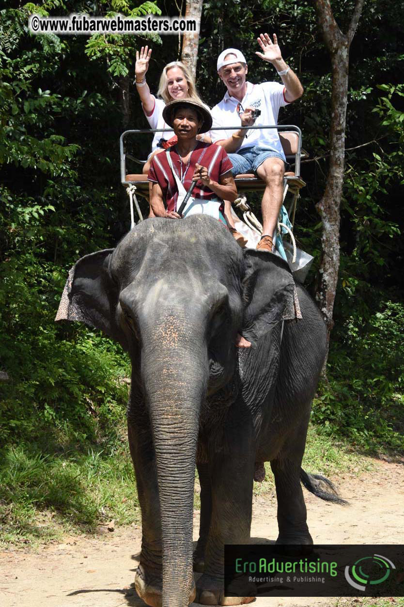 Elephant Safari 