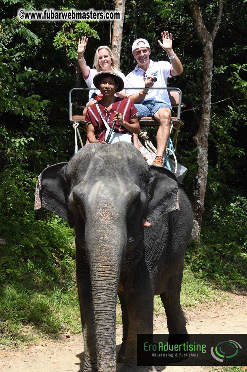 Elephant Safari 