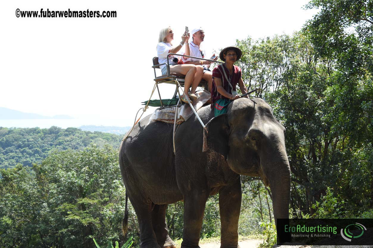 Elephant Safari 