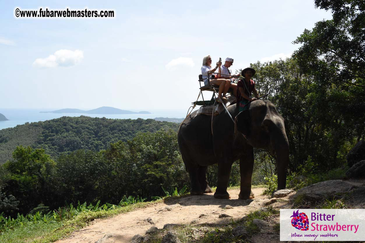 Elephant Safari 